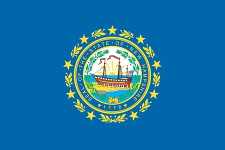 NEW HAMPSHIRE STATE FLAG - american, symbol, blue, state, flag