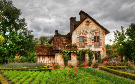 Old House - pretty, splendor, grass, leaves, old house, flowers, view, old, garden, bench, field, houses, sky, clouds, house, trees, beautiful, beauty, colors, lovely, architecture, tree, nature, green, peaceful