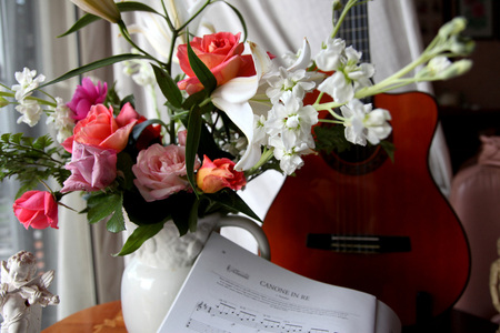 Music of Flowers - flowers, still life, guitar, music