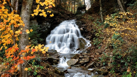 Autumn - nature, autumn, forest, waterfall