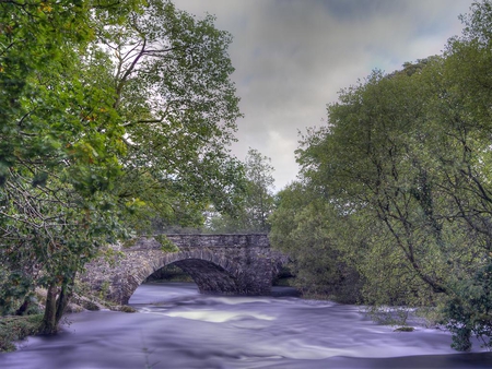 Choppy Waters - tree, waters, bridge, north of england