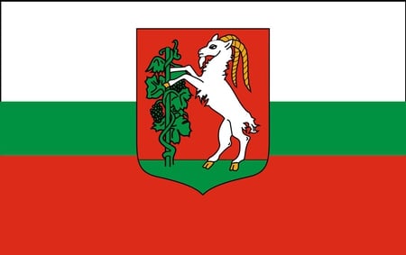 FLAG OF LUBLIN POLAND - symbol, flags, red green and white, poland, horse