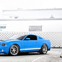 Ford Mustang Shelby Cobra GT 500