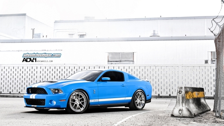 Ford Mustang Shelby Cobra GT 500 - ford, car, blue, mustang