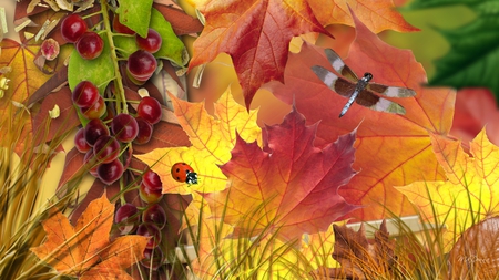 Fall Berries and Bugs - fall, ladybug, leaves, bright, firefox persona, dragonfly, lady bug, berries, color, autumn