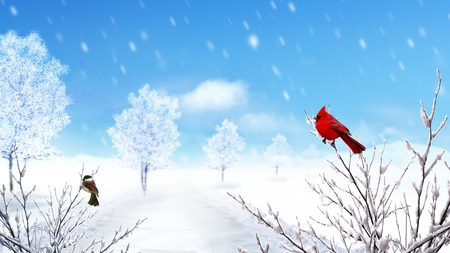 Color for Winter - ice, sky, trees, winter, cold, cardinal, snow, firefox persona, chickadee, birds