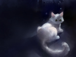 White cat