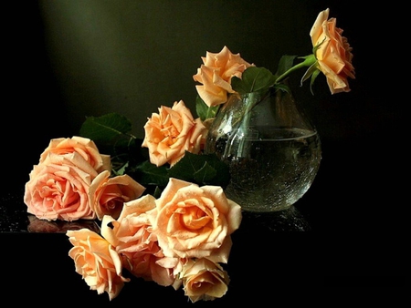 Salmon rose bouquet - petal, nature, rose, salmon, flower, bouquet