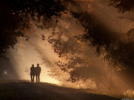 Lovely sunset - sky, love, couple, sunset