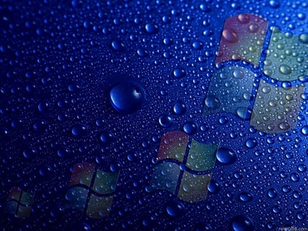 Windows drops - drop, technology, windows, blue