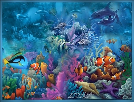 SEALIFE - coral, reef, ocean, sealife