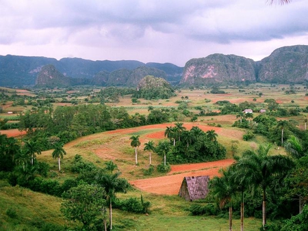 Vinales Field - field, sky, trees, mountain