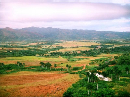 Open Field in Vinales - field, sky, trees, mountain