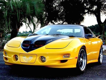 Drekar Trans Am - yellow, black, gm, pontiac