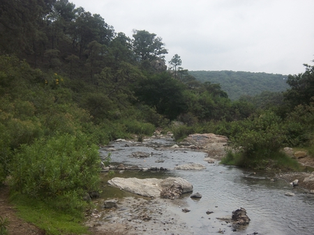 Alone River - quiet, alone, river