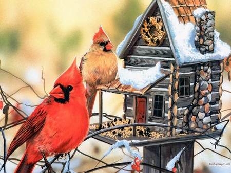 Red and yellow cardinals - trees, wings, bird seed, white, wood, painting, art, home, pretty, yellow, feeder, artwork, cardinal, painted, food, paintings, birdhouse, birds, janene grende, branches, wildlife, winter, seeds, bird, nature, cardinals, avian, nest, red, snow, animal, paintinga