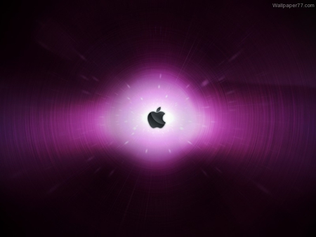 apple in new model - pad, phone, purple, appy