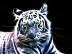 Laser tiger