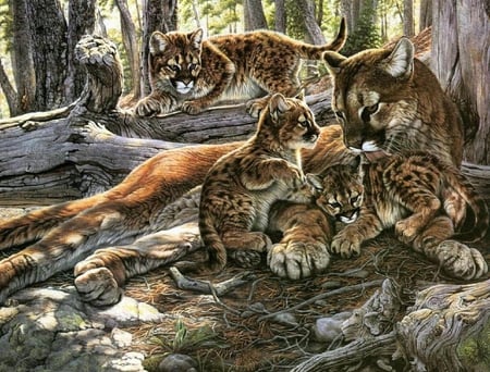 Cougar And Cubs - three, cubs, pine needles, cougar, tree