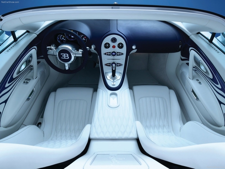 Bugatti-Veyron_Grand_Sport_LOr_Blanc - seagull, britney spears, hammock, paradise