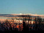 SUNRISE AUTUMN TREES