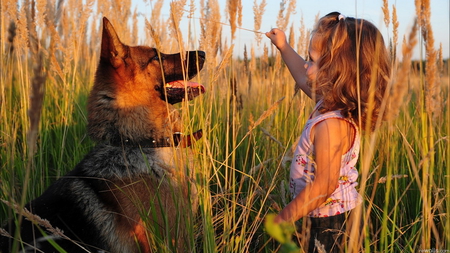 BEST FRIENDS - nice, amazing, baby, dog, good, animal