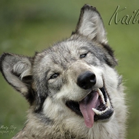 kailani looking silly