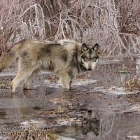 "BRR it's cold in here!"