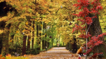 Majestic Fall - season, autumn, squirrel, trees, path, deer, road, fox, butterfly, fall, leaves, color, firefox persona, birds