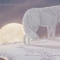 the wolf of the beyonds