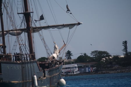 Aging tall ship in the harbour - ocean, harbour, water, tall ship, boat