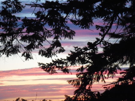 Sunset Skinners Butte - pinks, sunset, views west, pines