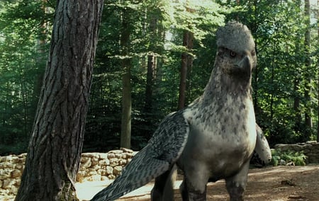 Buckbeak - non real, fantasy, animals, other