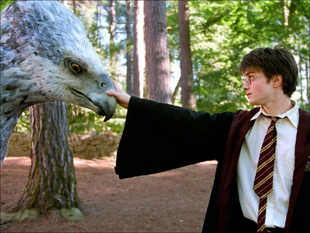 Harry Touching Buckbeak - e, ewf, er, sddwqr, f, wef, gwer