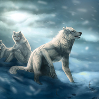 the harsh winter for werewolves