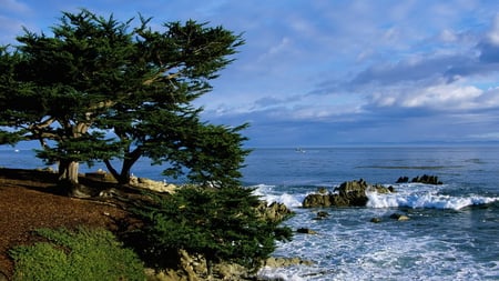 Mesmerising View - trees, blue, sea, sail, brown land, waves, bench, sky, rocks