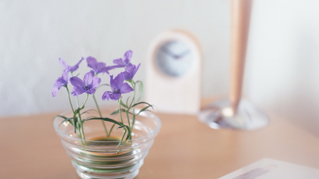 Simple and Graceful - flowers, graceful, purple, timepiece, simple, stilllife