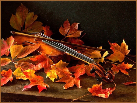 Autumn romance - fall leaves, violin, song, quiet, yellow, still life, romance, abstract, dried leaves, sad, nature, romantic, autumn