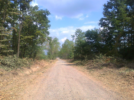 A road in forest - mc, road, forest, nature