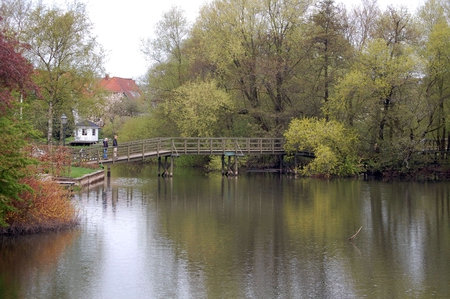 Beautiful view - quiet, nice, trees, water