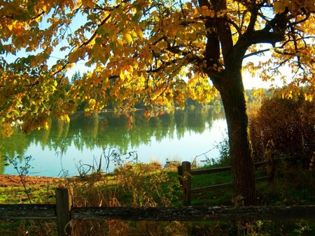 Quiet Lake in Autumn - autumn, lake, fall, leaves, tree, sunset, colors