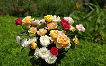 A BOUQUET OF ROSES - roses, colorful, nature, bouquet