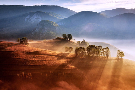 September dawn - sun rays, trees, fields, mist, morning, golden, mountains