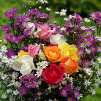 ROSES WITH WILD FLOWERS