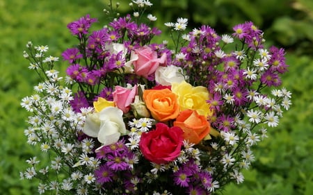 ROSES WITH WILD FLOWERS - flowers, wild, roses, nature