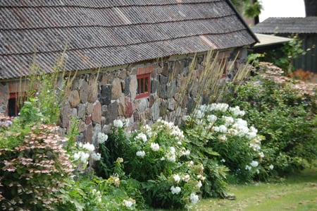 Old House on Tunø - nice, nice colors, old, beautiful