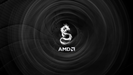 AMD Dragon - black, amd, white, dragon