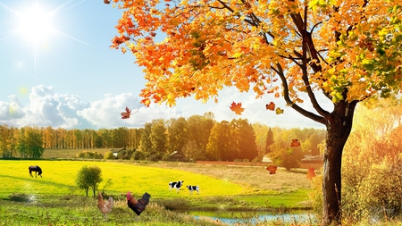 Bright Fall Day - chickens, trees, pond, horse, cows, leaves, fall, autumn, field, country, farm