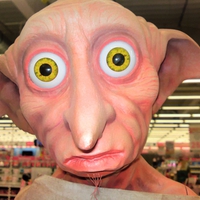 jobs in a electronic market when finished acting Potter Movies