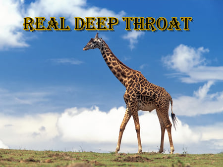 Real thing - throat, animal, deep, funny, giraffe